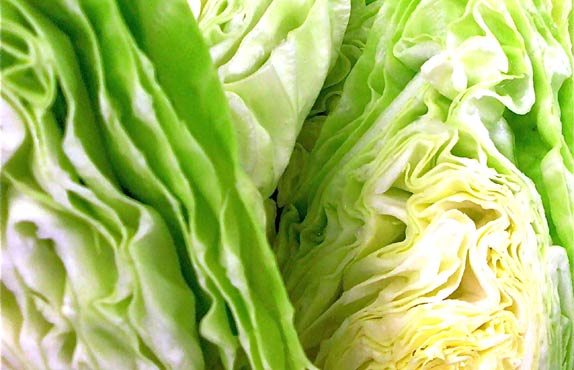 cabbage